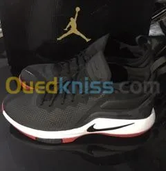 LeBron Witness II