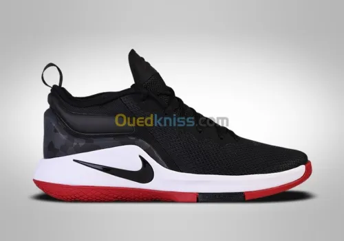 LeBron Witness II