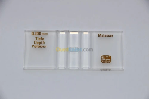 CELLULE DE MALASSEZ 