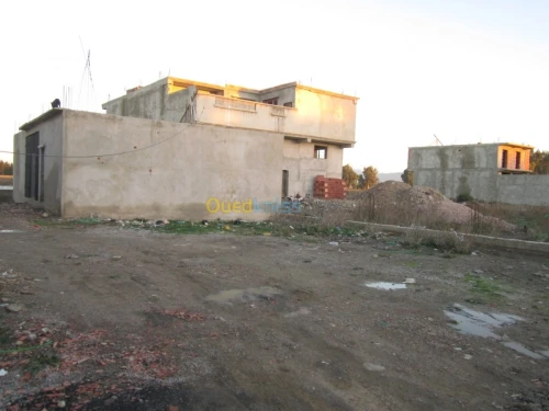 Vente Terrain Blida Boufarik