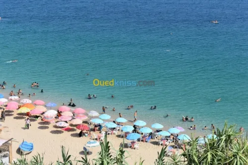 Location Appartement F2 Alger Ain taya