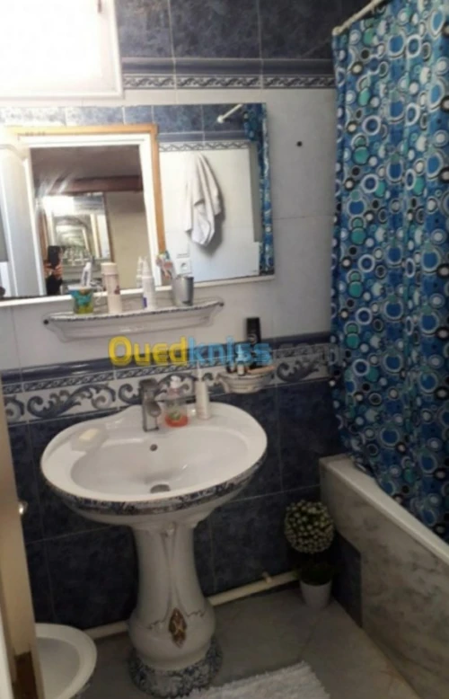 Vente Appartement F3 Alger Birkhadem