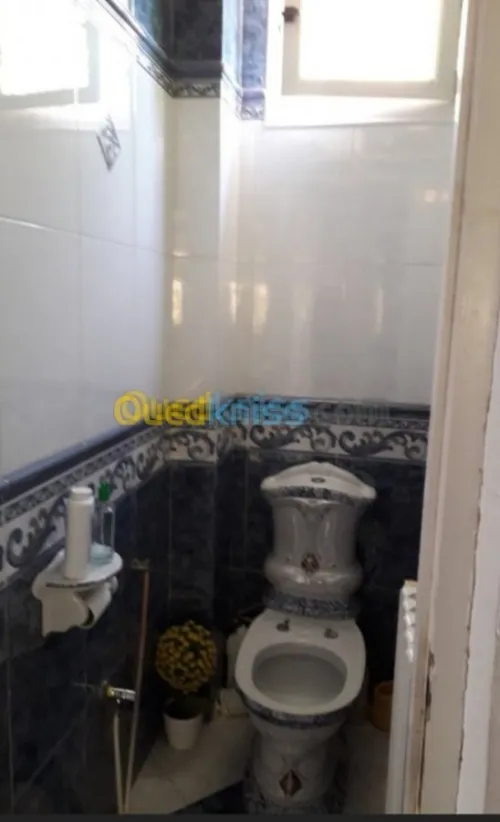 Vente Appartement F3 Alger Birkhadem