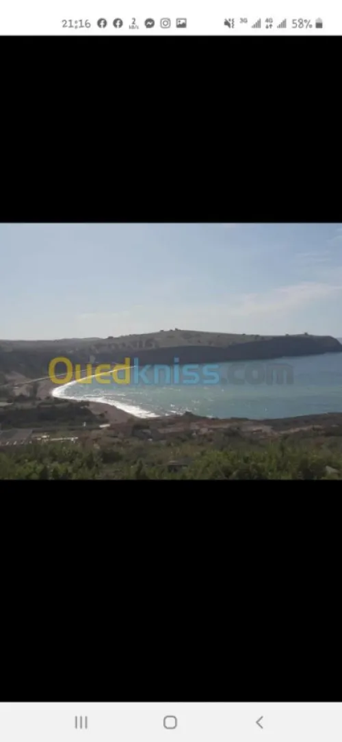Vente Terrain Tlemcen Ghazaouet