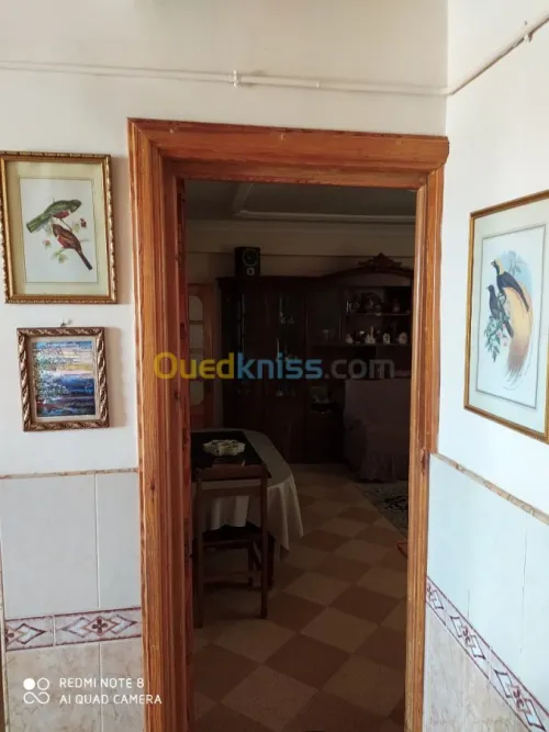 Vente Appartement Tébessa Tebessa