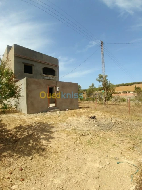 Vente Terrain Mostaganem Sidi ali