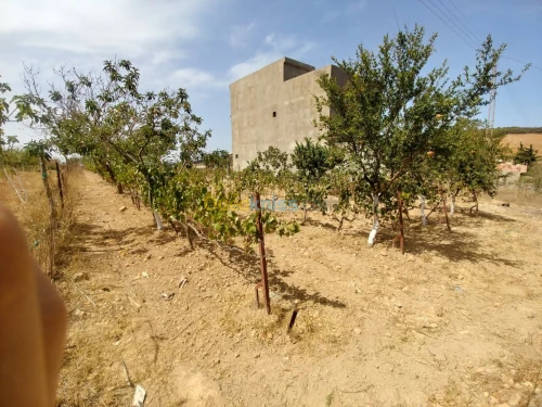 Vente Terrain Mostaganem Sidi ali