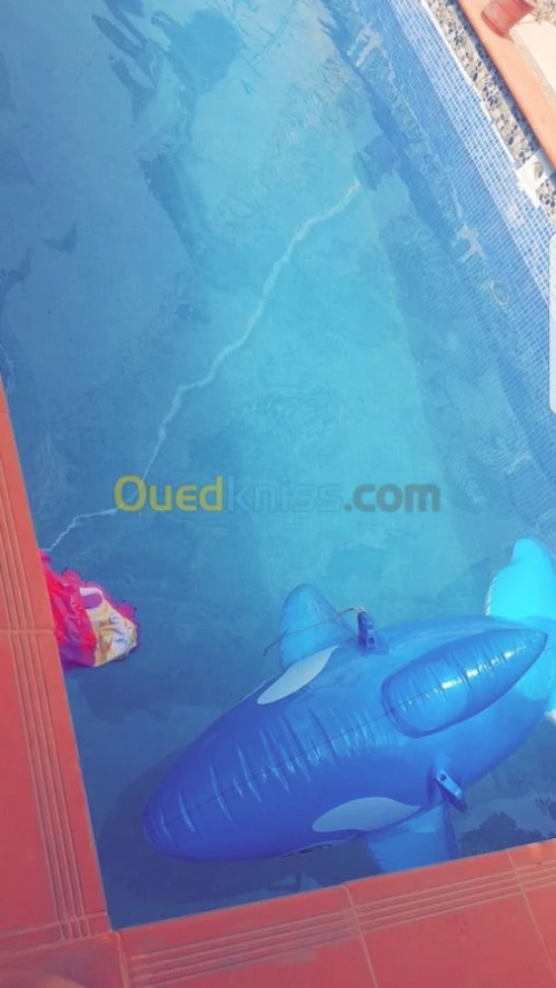 Vente Villa Alger Ain taya
