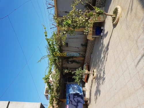 Vente Villa Alger Ain taya