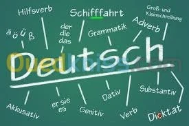 Teaching and training