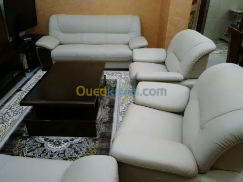 salon en cuir et simili cuir 