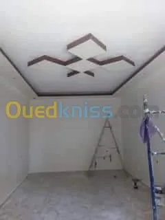 Placo plâtre ba13 et peinture