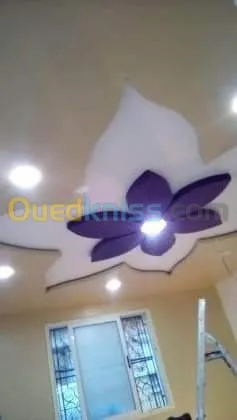 Placo plâtre ba13 et peinture