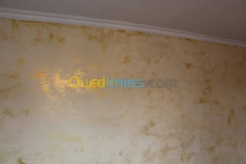 Peinture et decoration maison et surfa