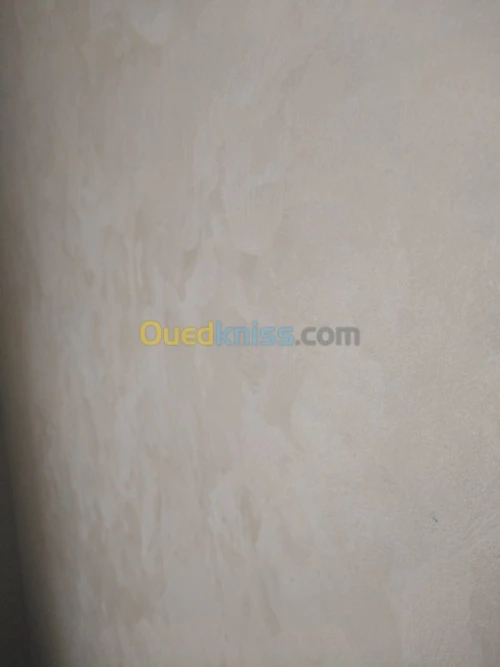 Peinture et decoration maison et surfa