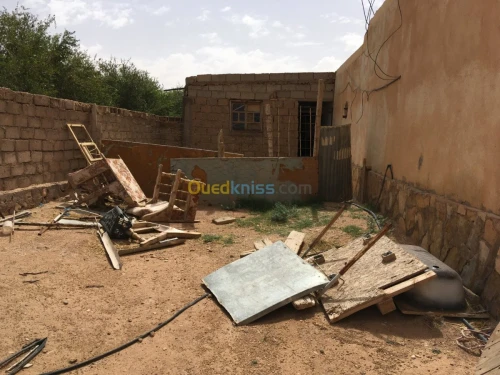 Vente Terrain Djelfa Ain el ibel