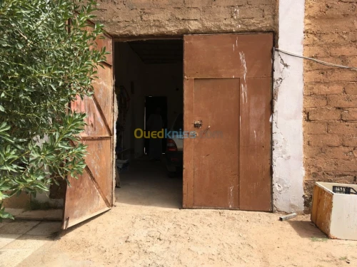 Vente Terrain Djelfa Ain el ibel
