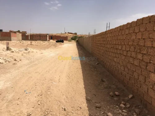 Vente Terrain Djelfa Ain el ibel