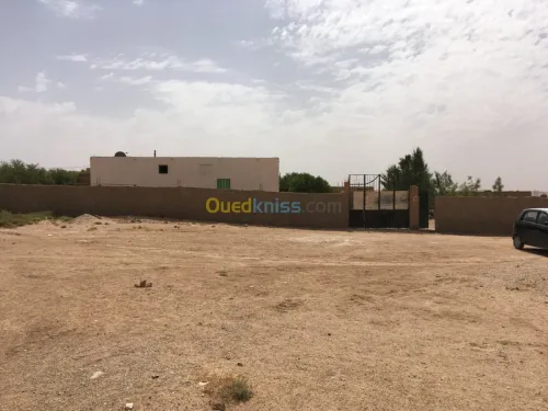 Vente Terrain Djelfa Ain el ibel