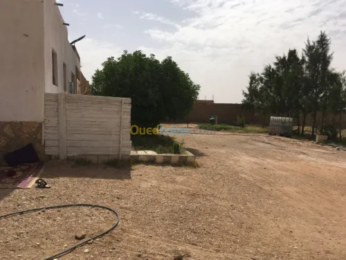 Vente Terrain Djelfa Ain el ibel