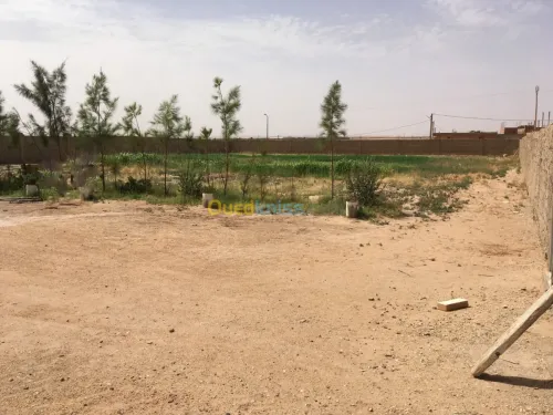 Vente Terrain Djelfa Ain el ibel