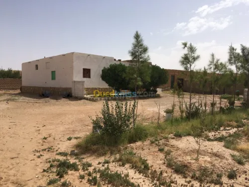 Vente Terrain Djelfa Ain el ibel