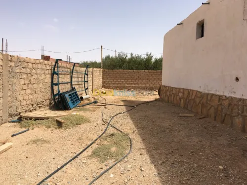 Vente Terrain Djelfa Ain el ibel