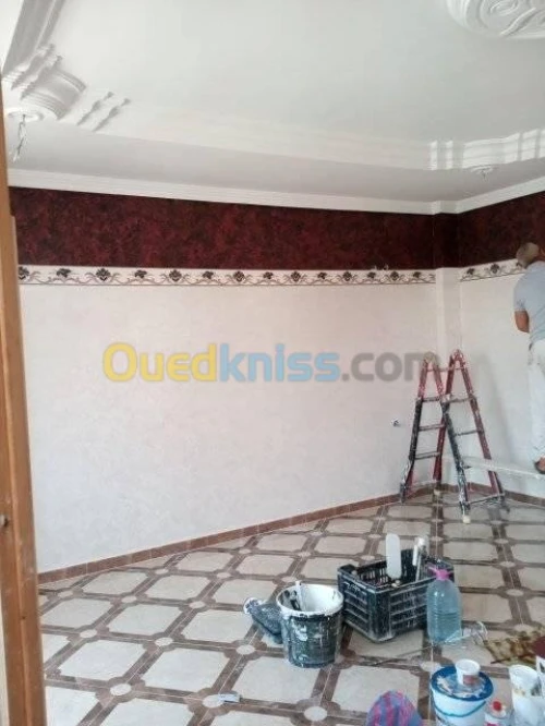 Décoration Placo platre BA13, PVC