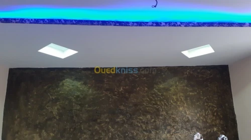 Decoration placo Platre et la pantur  