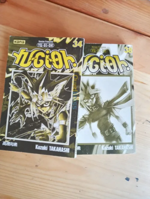 Manga a vendre 