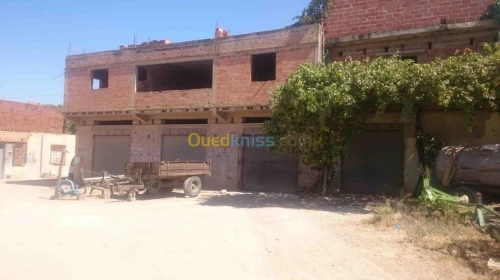 Vente Carcasse Tlemcen Ghazaouet