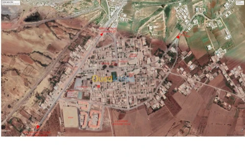 Vente Carcasse Tlemcen Ghazaouet