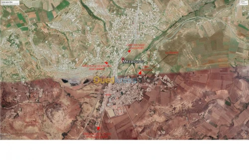 Vente Carcasse Tlemcen Ghazaouet