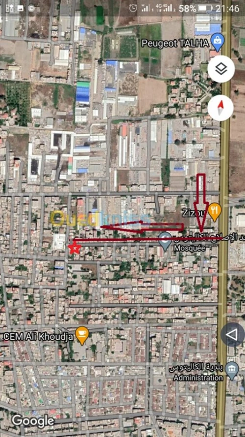 Vente Terrain Alger Les eucalyptus