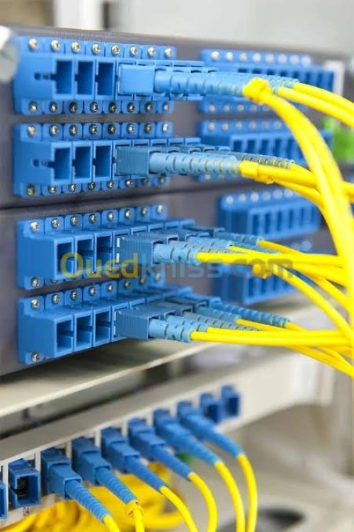 Système d'alarme - caméra de surveilla