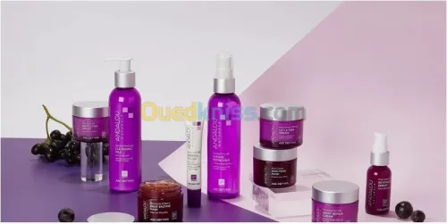 ANDALOU NATURALS la gamme anti-âge 