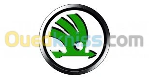 DIAGNOSTIC AUTO 