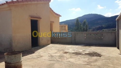 Vente Villa Tipaza Cherchell