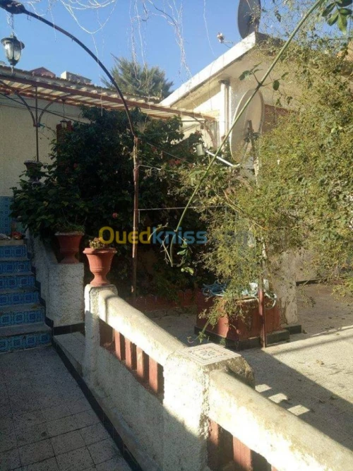 Vente Villa Alger Bologhine