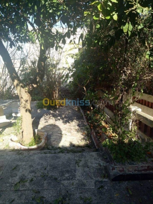 Vente Villa Alger Bologhine