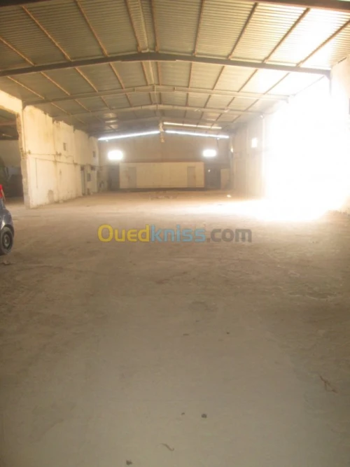 Vente Hangar - Usine Annaba Barrahel