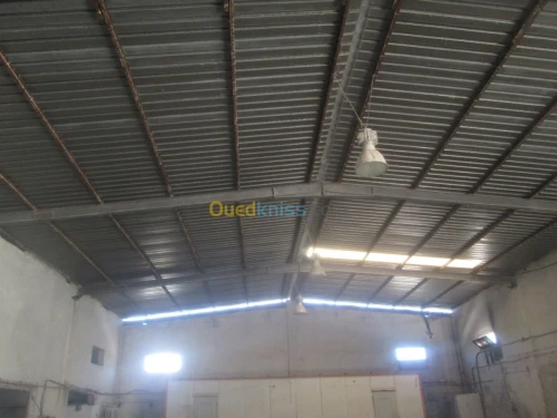 Vente Hangar - Usine Annaba Barrahel