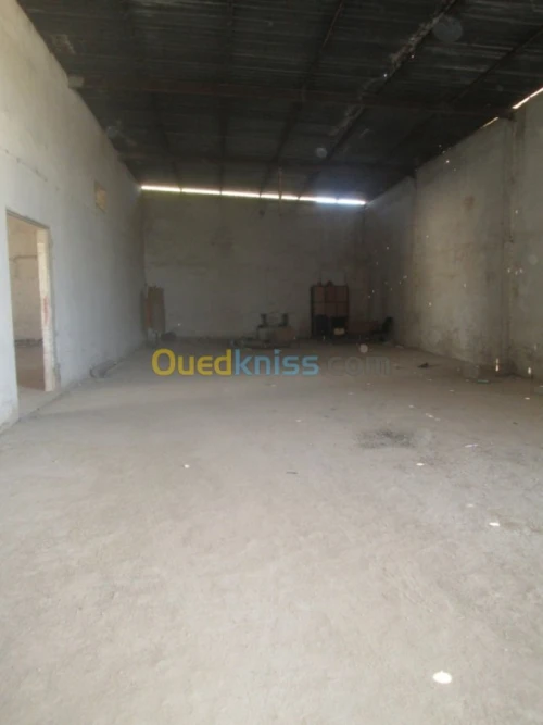 Vente Hangar - Usine Annaba Barrahel