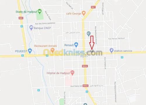 Location Local Tipaza Hadjout