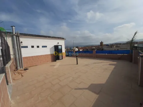 Location Local Tipaza Hadjout