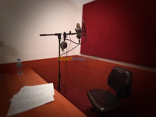 Studio Enregistrement Audio, Voix Off