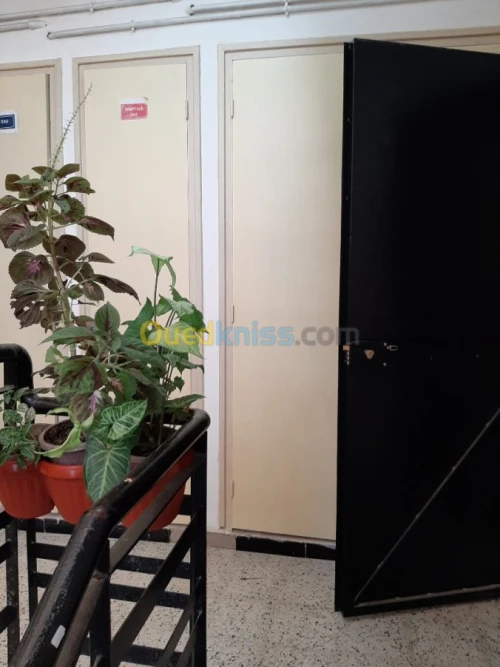 Echange Appartement F3 Alger Ouled fayet