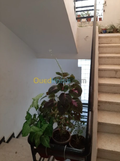 Echange Appartement F3 Alger Ouled fayet