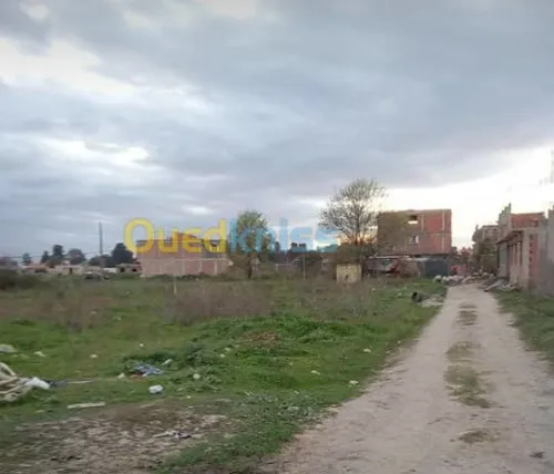 Vente Terrain Alger Sidi moussa