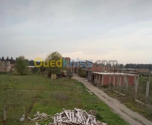 Vente Terrain Alger Sidi moussa
